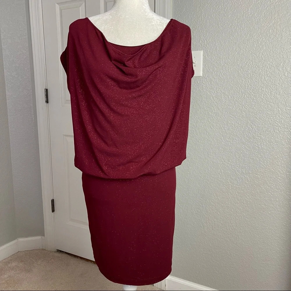 Alice + Olivia Cowl Neck Blouson Shimmer Dress Sz XS